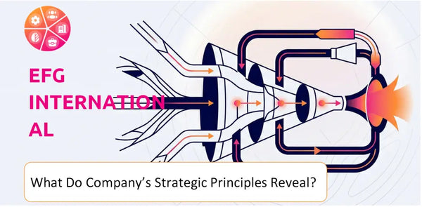 What Do the Strategic Principles of EFG International Company Reveal?