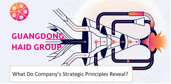 What Do the Strategic Principles of Guangdong Haid Group Company Reveal?
