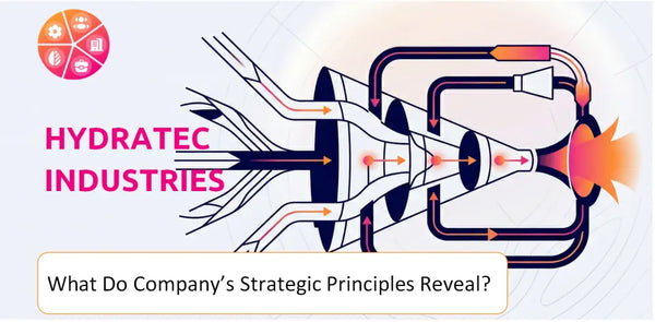 What Do the Strategic Principles of Hydratec Industries Company Reveal?