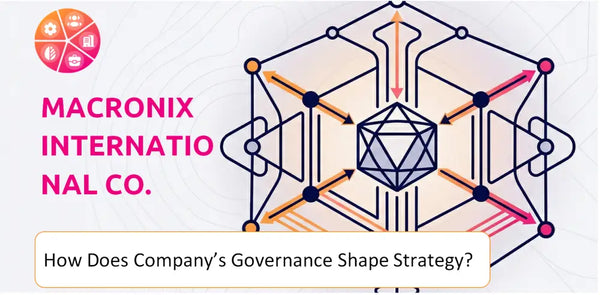 How Does the Governance Structure of Macronix International Co. Company Shape Strategy?