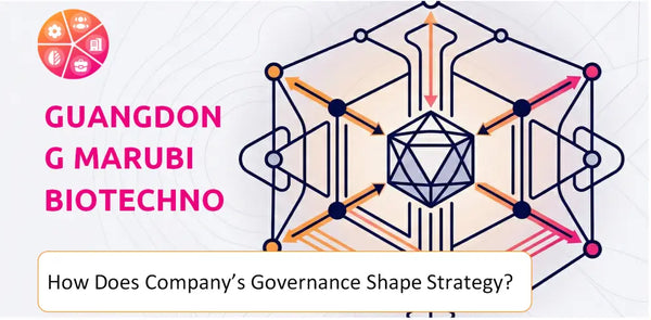 How Does the Governance Structure of Guangdong Marubi Biotechnology Company Shape Strategy?