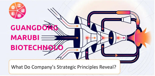 What Do the Strategic Principles of Guangdong Marubi Biotechnology Company Reveal?