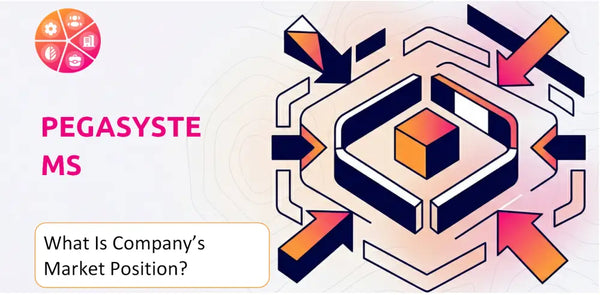 What Is Pegasystems Company's Strategic Position in Its Market?
