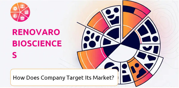 How Does Renovaro Biosciences Company Segment and Target Its Market?