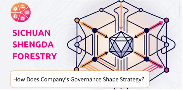 How Does the Governance Structure of Sichuan Shengda Forestry Industry Co. Company Shape Strategy?