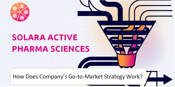 How Does Solara Active Pharma Sciences Company's Go-to-Market Strategy Work?