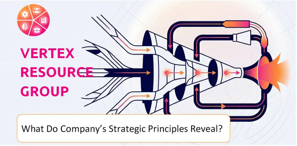 What Do the Strategic Principles of Vertex Resource Group Company Reveal?