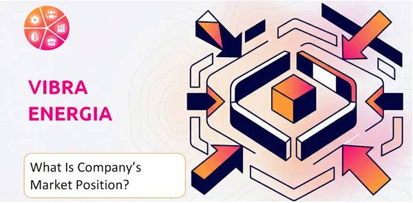 What Is Vibra Energia Company's Strategic Position in Its Market?