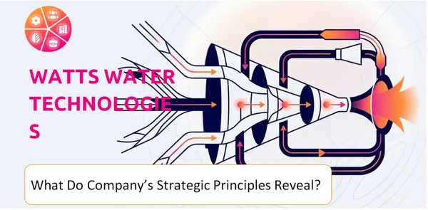 What Do the Strategic Principles of Watts Water Technologies Company Reveal?