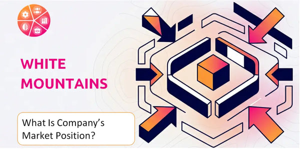 What Is White Mountains Company's Strategic Position in Its Market?