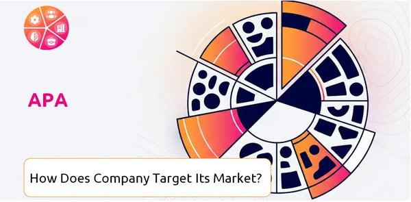 How Does APA Company Segment and Target Its Market?