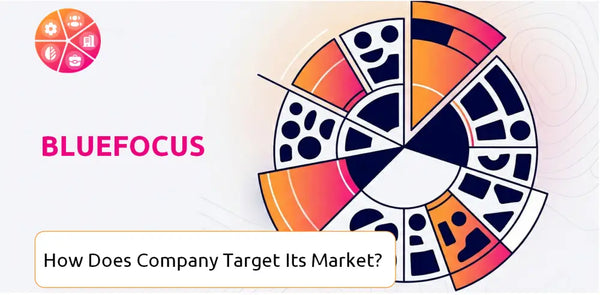 How Does BlueFocus Company Segment and Target Its Market?