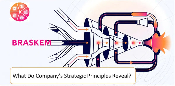 What Do the Strategic Principles of Braskem Company Reveal?