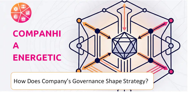 How Does the Governance Structure of Companhia Energetica de Minas Gerais Company Shape Strategy?