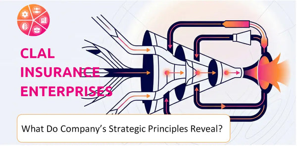 What Do the Strategic Principles of Clal Insurance Enterprises Company Reveal?