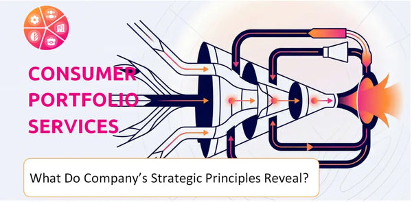 What Do the Strategic Principles of Consumer Portfolio Services Company Reveal?