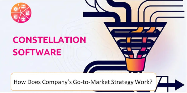 How Does Constellation Software Company's Go-to-Market Strategy Work?