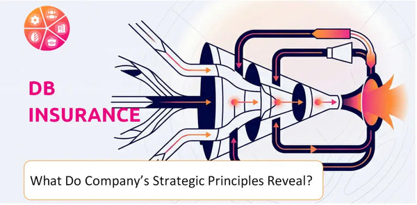 What Do the Strategic Principles of Db Insurance Company Reveal?
