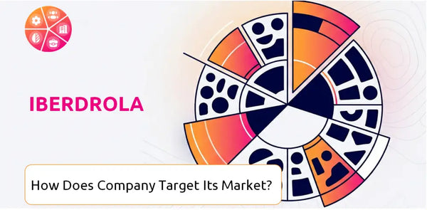 How Does Iberdrola Company Segment and Target Its Market?