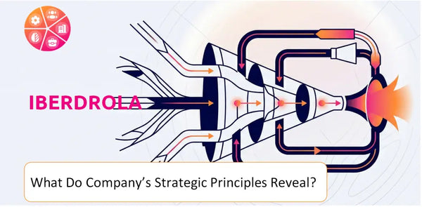 What Do the Strategic Principles of Iberdrola Company Reveal?