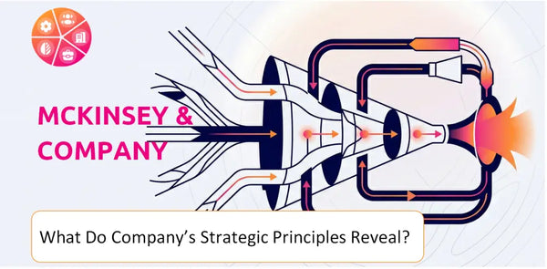 What Do the Strategic Principles of McKinsey & Company Company Reveal?