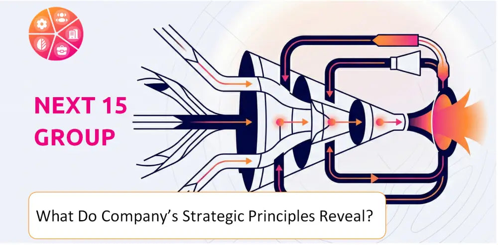 Next15 Company Strategic Principles