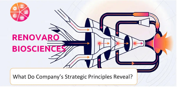What Do the Strategic Principles of Renovaro Biosciences Company Reveal?