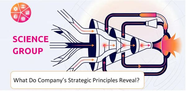 What Do the Strategic Principles of Science Group Company Reveal?