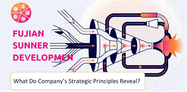 What Do the Strategic Principles of Fujian Sunner Development Company Reveal?