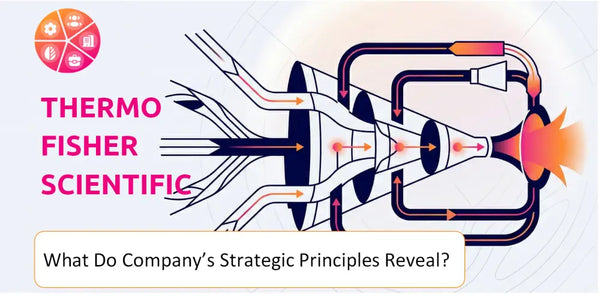 What Do the Strategic Principles of Thermo Fisher Scientific Company Reveal?