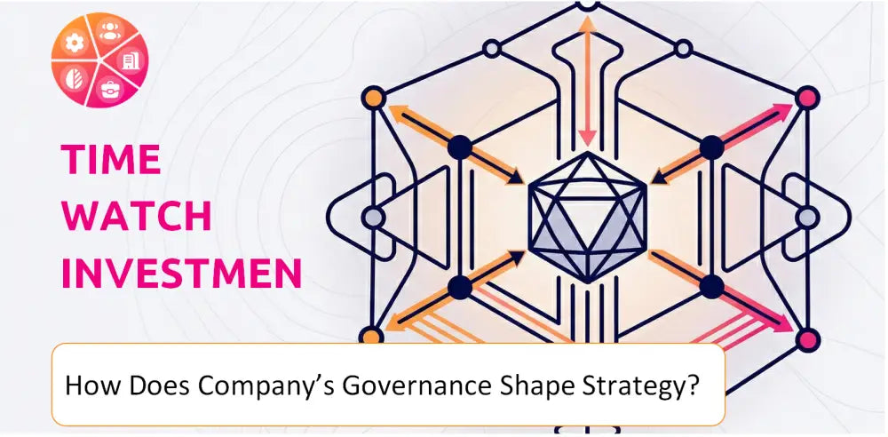 Timewatch Company Governance Structure