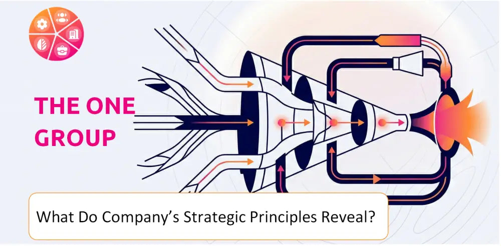 Togrp Company Strategic Principles