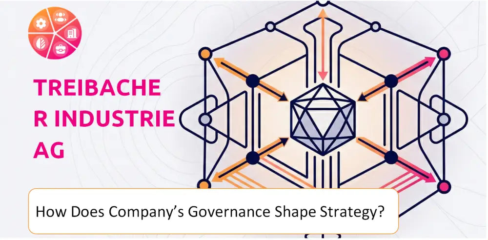 Treibacher Company Governance Structure
