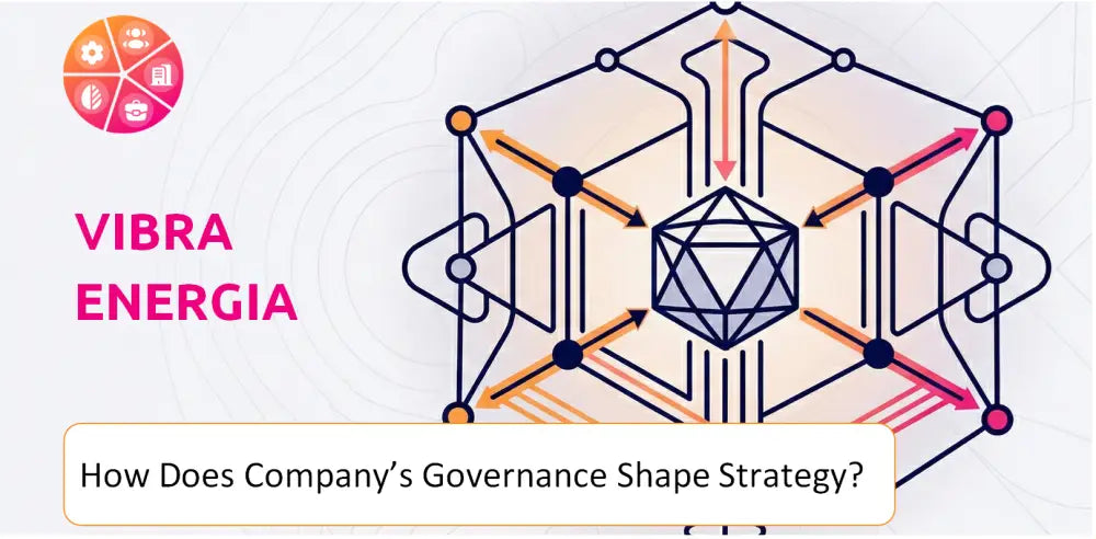 Vibraenergia Company Governance Structure