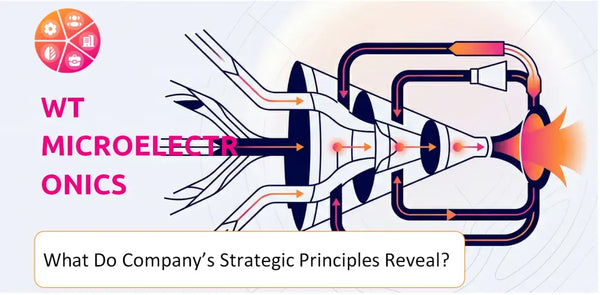 What Do the Strategic Principles of WT Microelectronics Company Reveal?