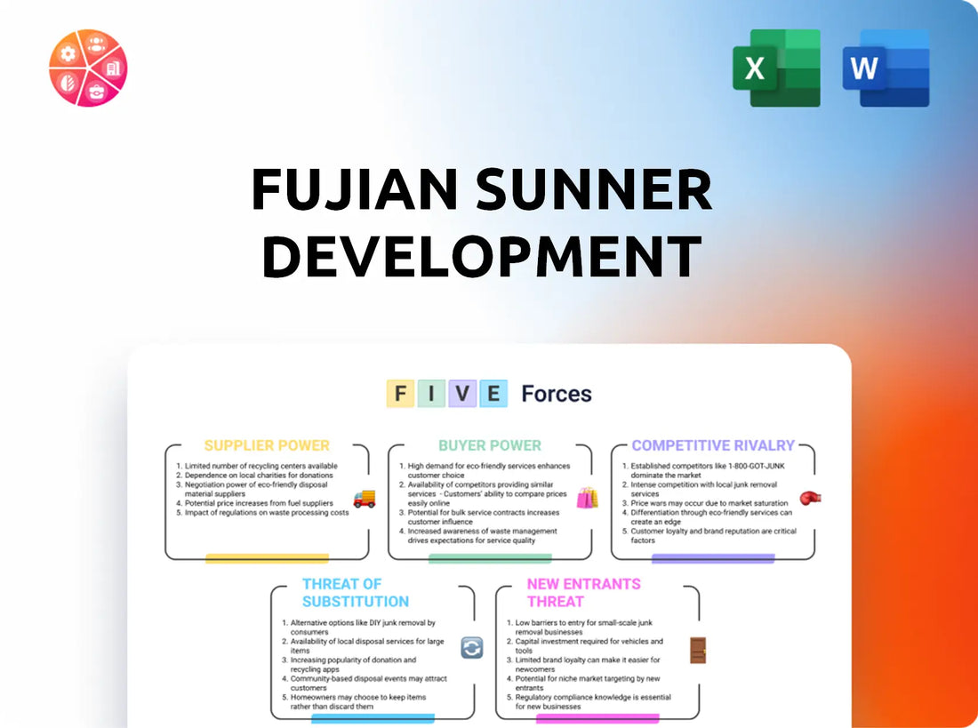 Fujian Sunner Development Porter's Five Forces Analysis